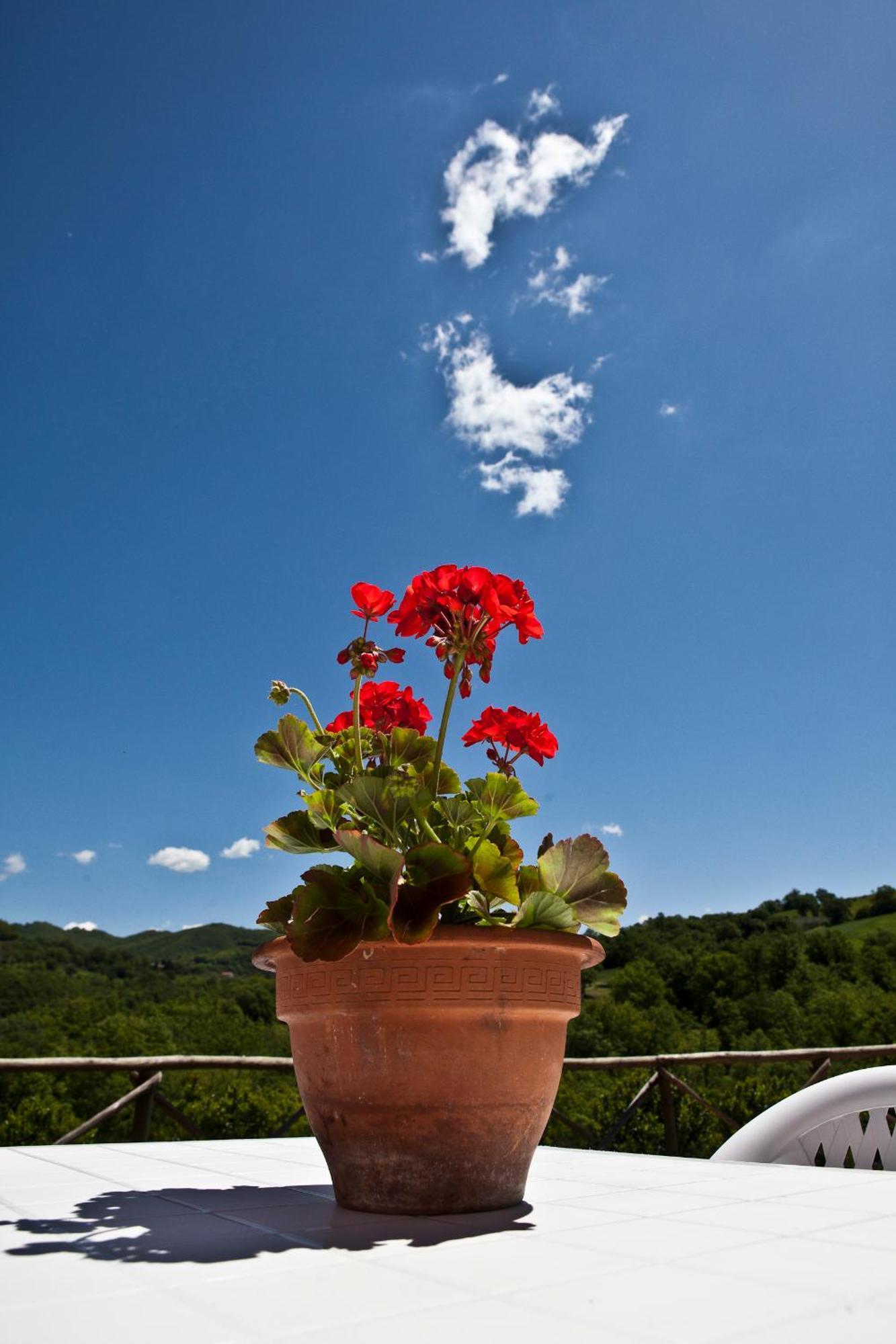 Relais Parco Del Subasio Villa Piano Delle Pieve Luaran gambar