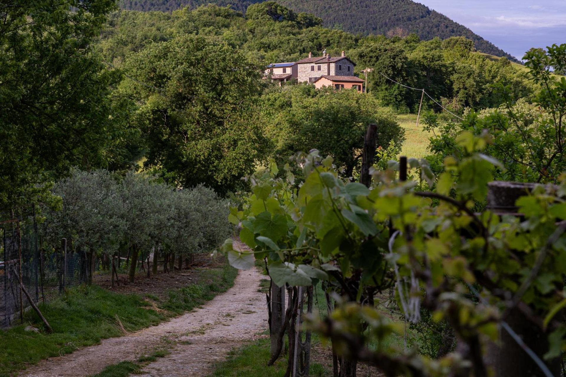 Relais Parco Del Subasio Villa Piano Delle Pieve Luaran gambar
