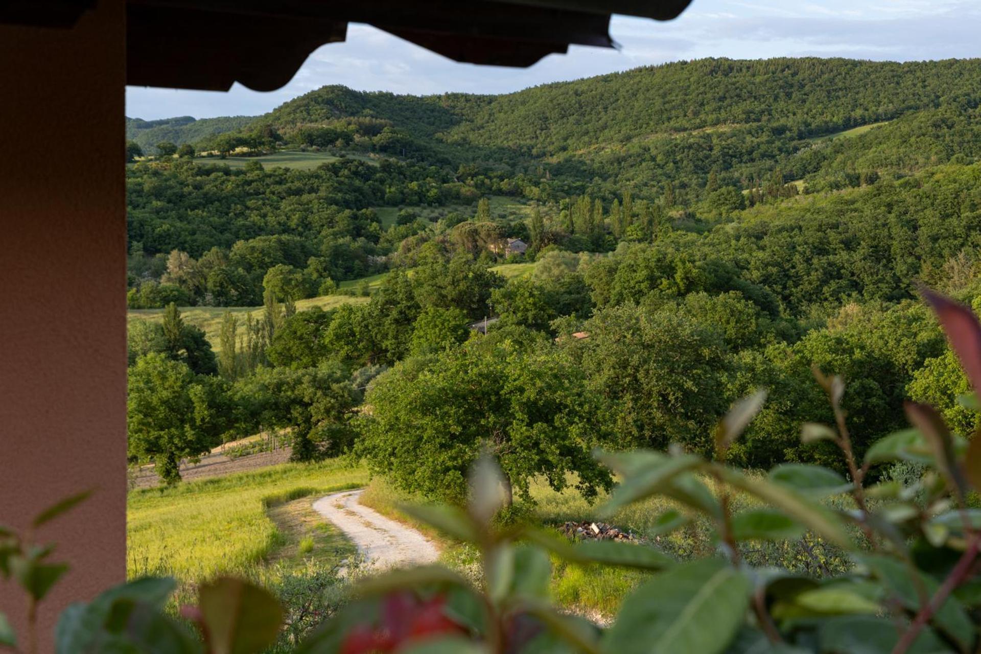 Relais Parco Del Subasio Villa Piano Delle Pieve Luaran gambar